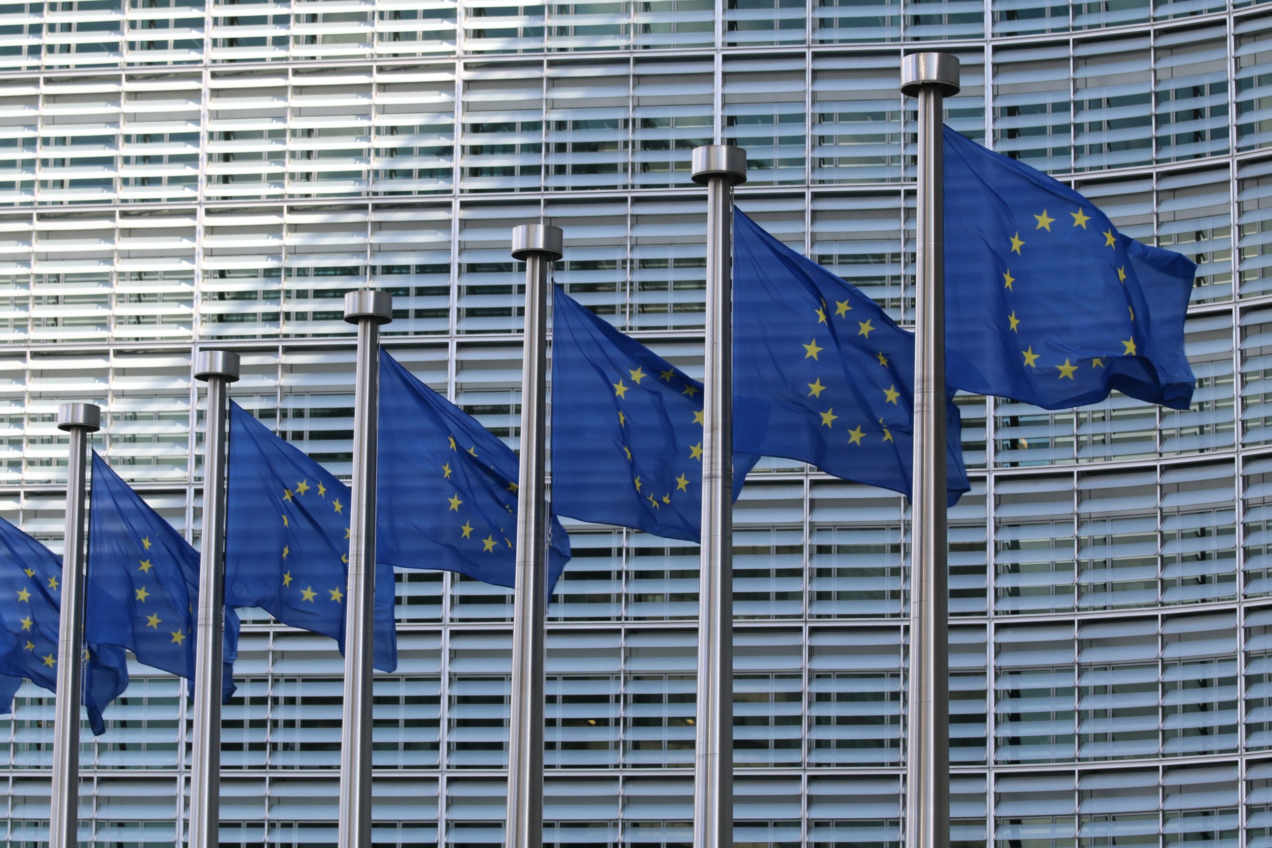 Union européenne (UE)
