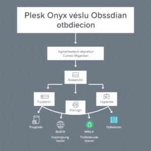 Représentation schématique de la migration de Plesk Onyx vers Plesk Obsidian