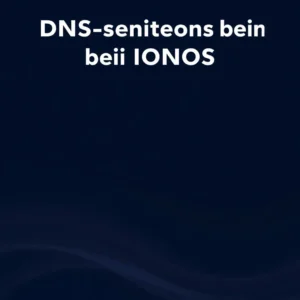 Interface utilisateur pour la modification des paramètres DNS sur IONOS
