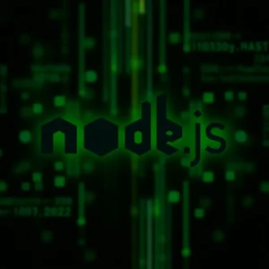 Hébergement de Node.js dans un centre de données moderne avec des racks de serveurs et des développeurs sur leur ordinateur portable