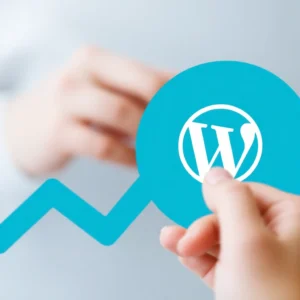 Une personne analyse les statistiques de WordPress sur un ordinateur portable dans un environnement de travail moderne